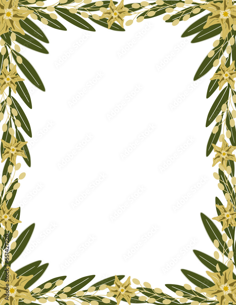 Floral Frame, Border Picture Floral Frame, Border Picture