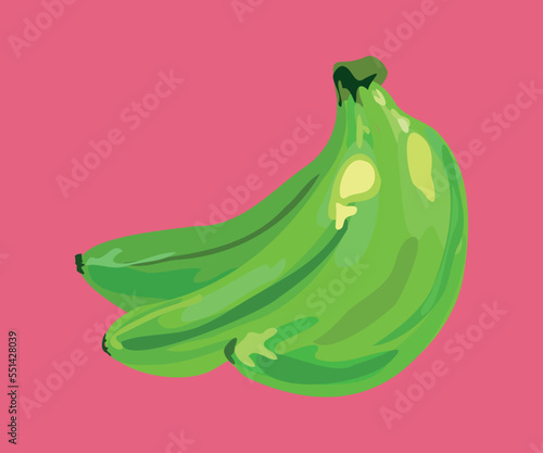 bellaco peruvian banana vector illustration