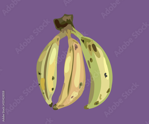  isla peruvian banana vector illustration