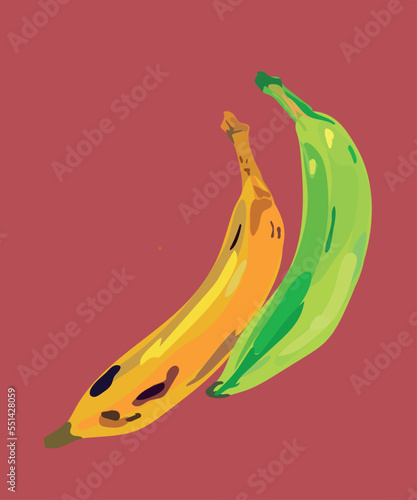 macho peruvian banana vector illustration