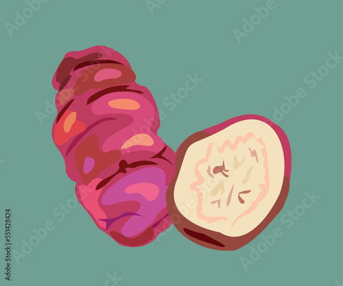 purple peruvian oca illustration