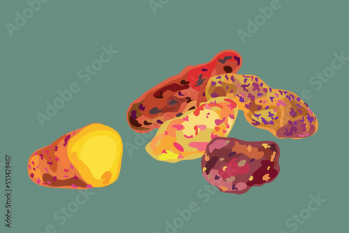different types of peruvian oca illustration