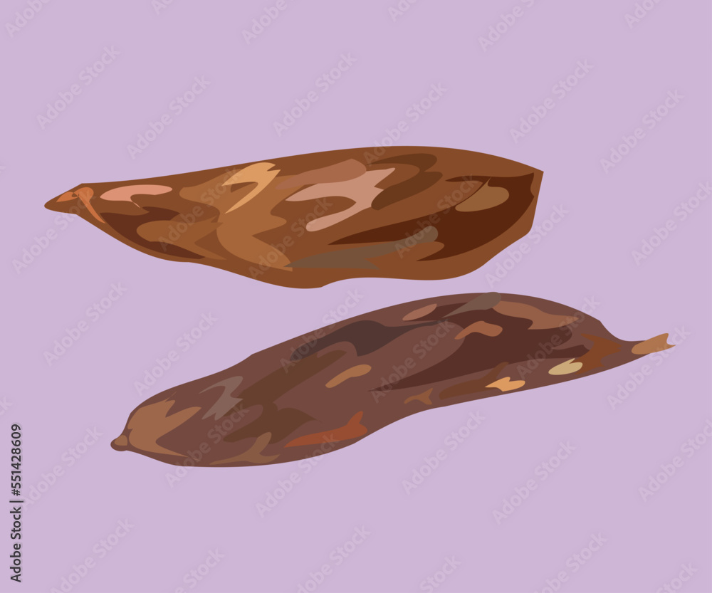 Fototapeta premium peruvian yucca root vector illustration