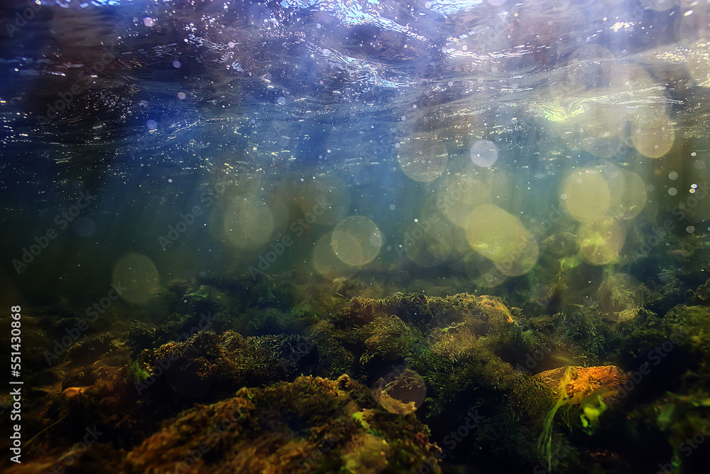 sun rays under water landscape, seascape fresh water river diving sun rays under water landscape, seascape fresh water river diving