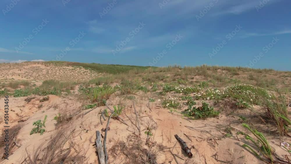 Sand dunes with low vegetation, Soustons in Landes, Nouvelle-Aquitaine in France. Blue sky for copy space. Aerial drone view low altitude Sand dunes with low vegetation, Soustons in Landes, Nouvelle-Aquitaine in France. Blue sky for copy space. Aerial drone view low altitude