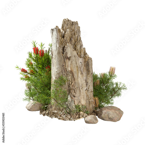 Cut out nature wood stump with flower plants 3d rendering illustration background png file