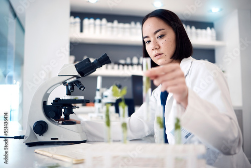 Photography Lab, microscope or woman scientist with plant in test tube, analytics or healthcare innovation