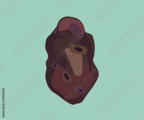 black potato vector illustration