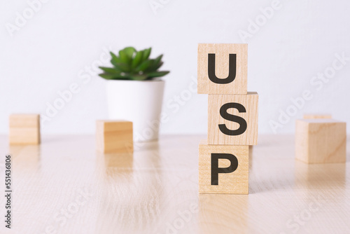 usp - financial concept. wooden cubes and flower in a pot on background photo