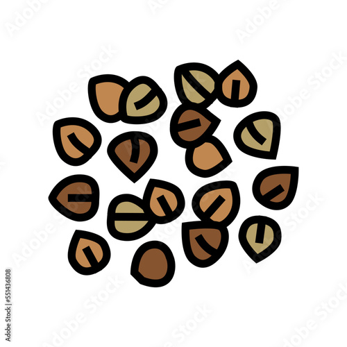 buckwheat grain healthy color icon vector. buckwheat grain healthy sign. isolated symbol illustration