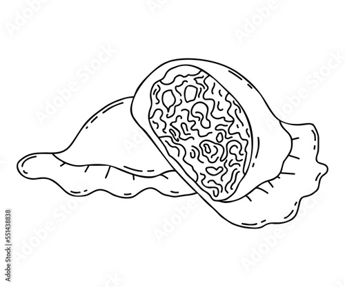 Mexican Empanadas. Half of broken dumpling with stuffing close-up. Vector linear hand drawing Latin American food in doodle style.