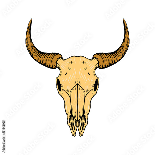 bull head skull vector illustration