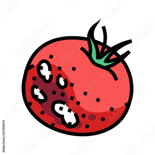 tomato rotten food color icon vector. tomato rotten food sign. isolated symbol illustration