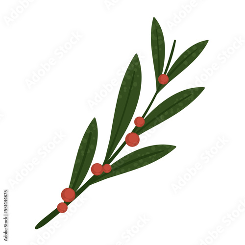 branch and berries