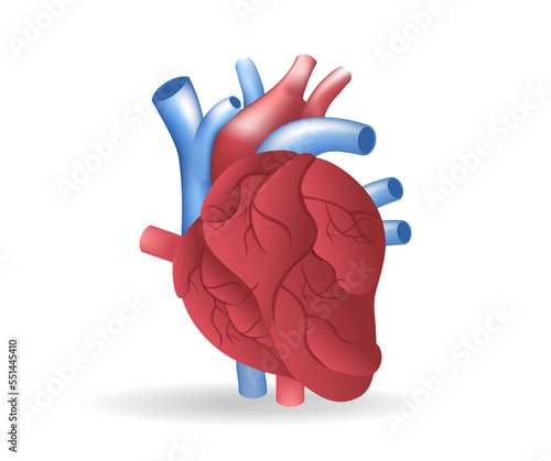 Isometric flat 3d illustration of heart vein anatomy concept