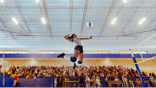Photography Female volleyball players in action on professional stadium.