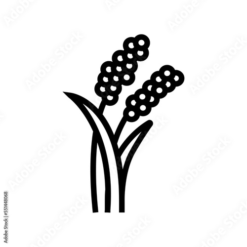 millet plant food line icon vector. millet plant food sign. isolated contour symbol black illustration