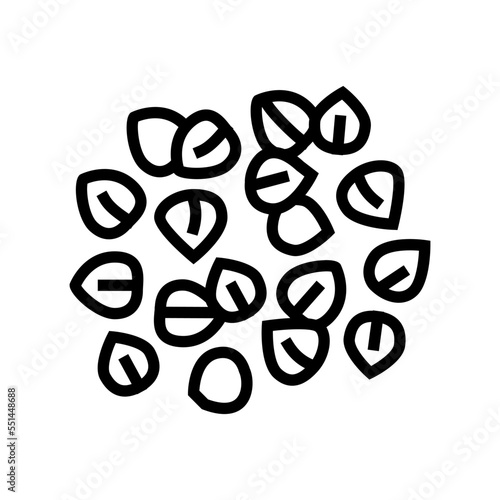 buckwheat grain healthy line icon vector. buckwheat grain healthy sign. isolated contour symbol black illustration