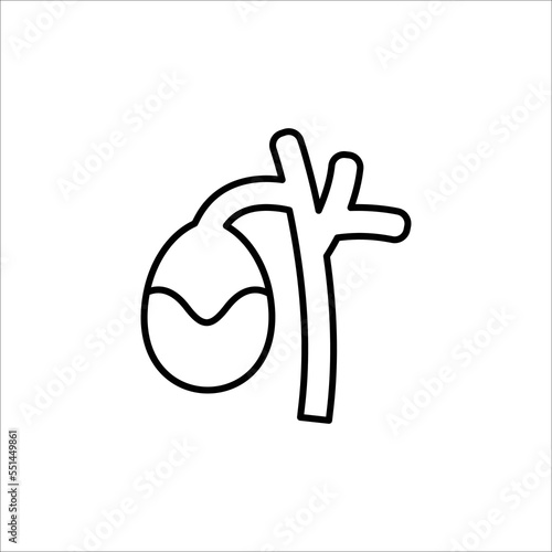 gallbladder icon. outline icon