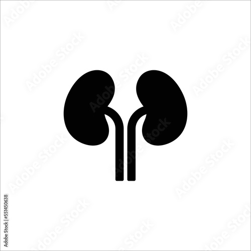 kidneys icon. solid icon