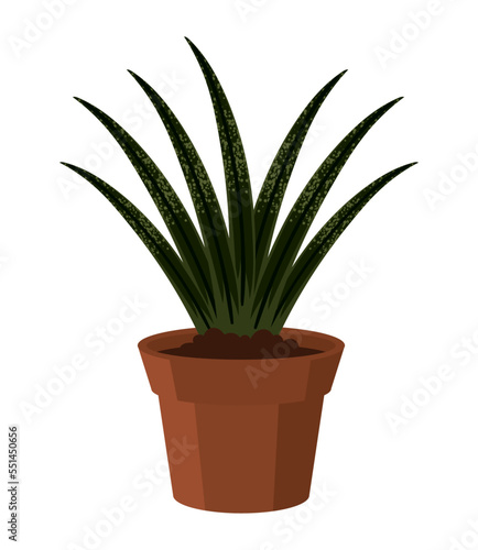 succulent houseplant icon