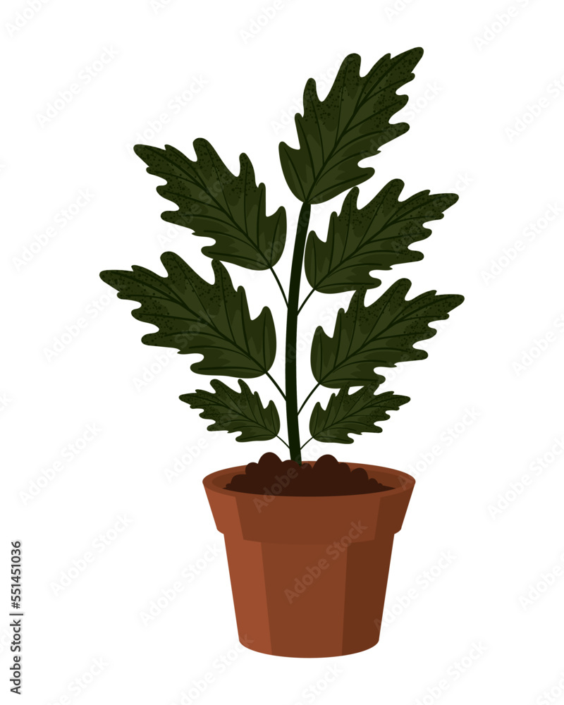 houseplant icon flat houseplant icon flat