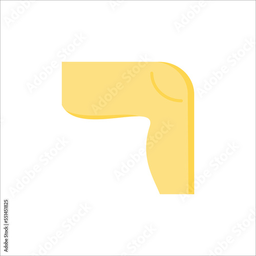 leg icon. flat icon