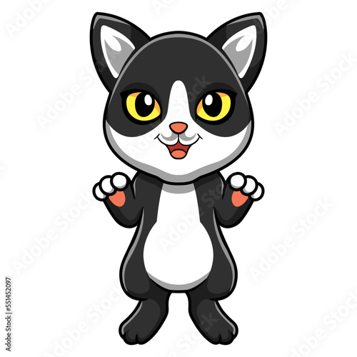 Cute black smoke cat cartoon