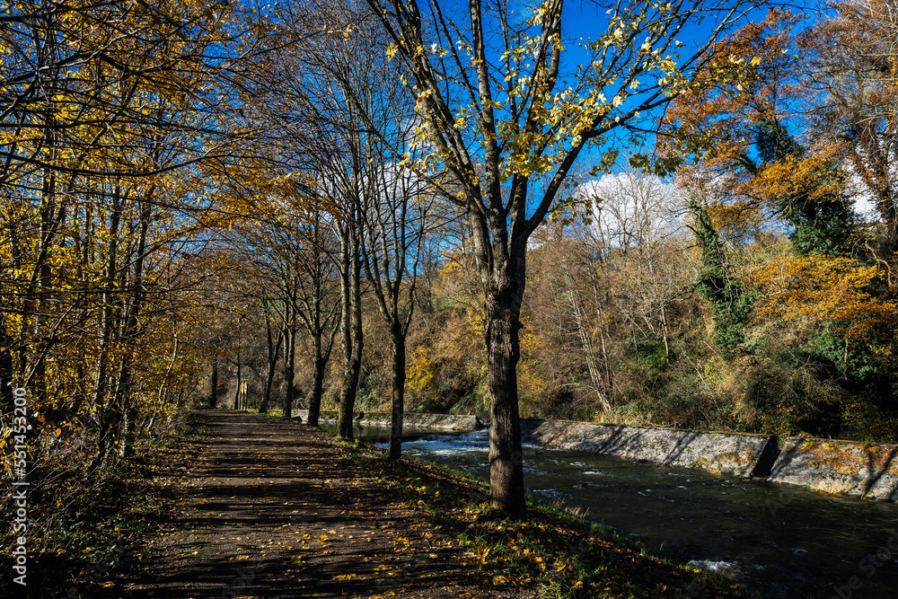 Chemin sur le bord d'une rivière en automne