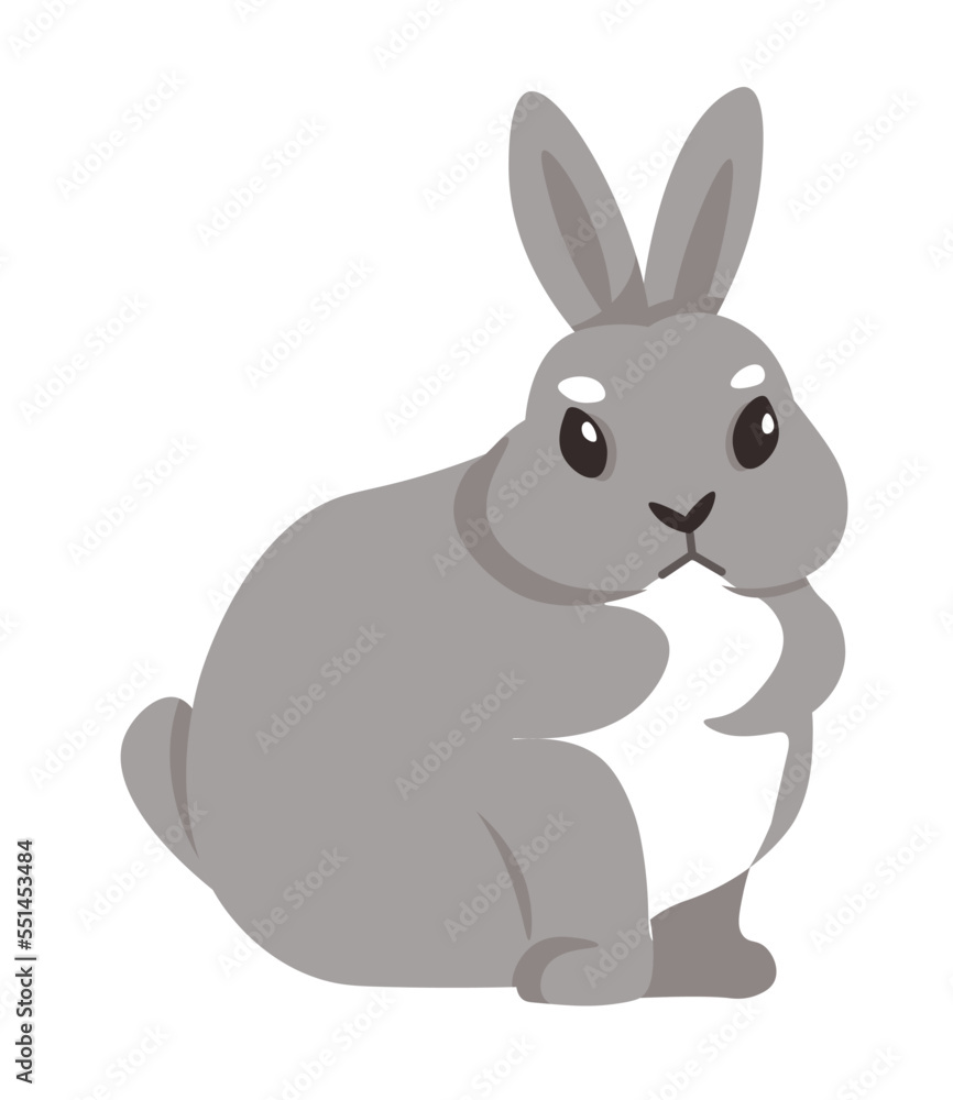 Rabbit portrait, wild fauna of woodland, hare Rabbit portrait, wild fauna of woodland, hare