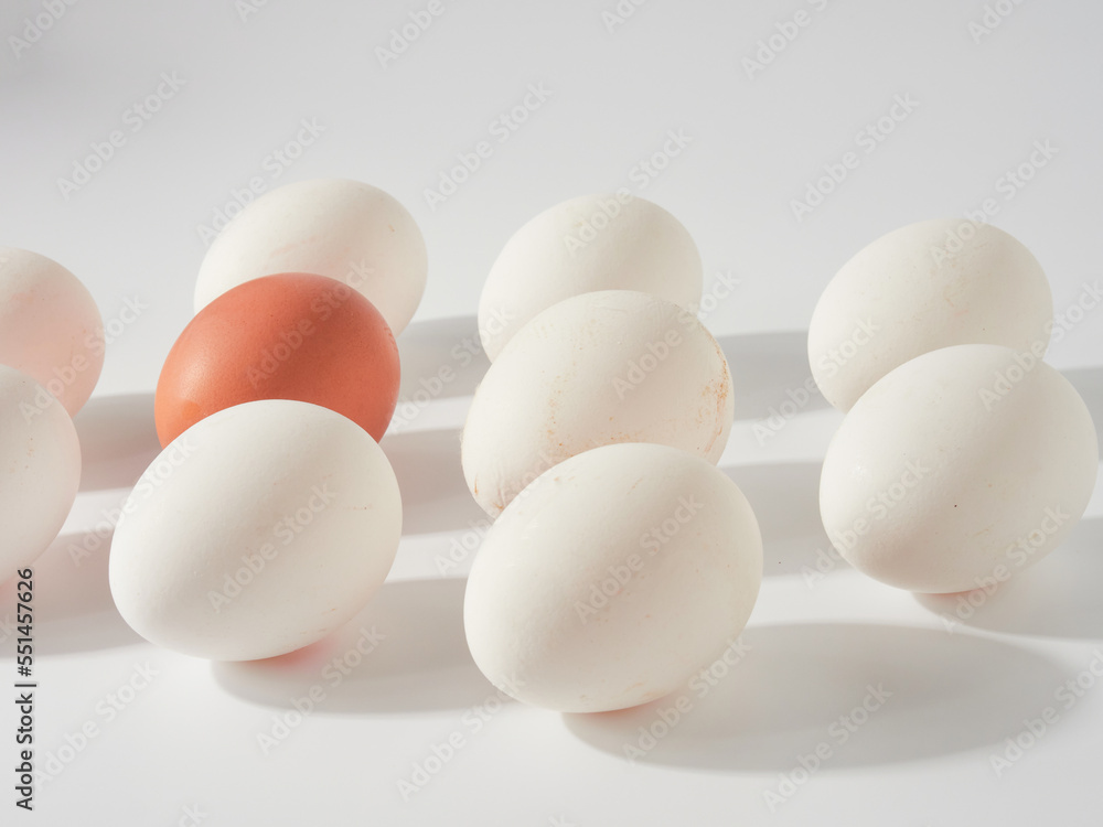 chicken eggs isolated on white background