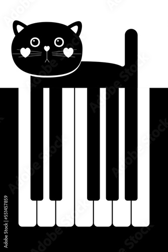 Piano Cat, Music Poster, Cat playing Piano, Music Theory