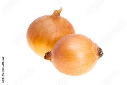 Wallpaper Mural onion isolated Torontodigital.ca