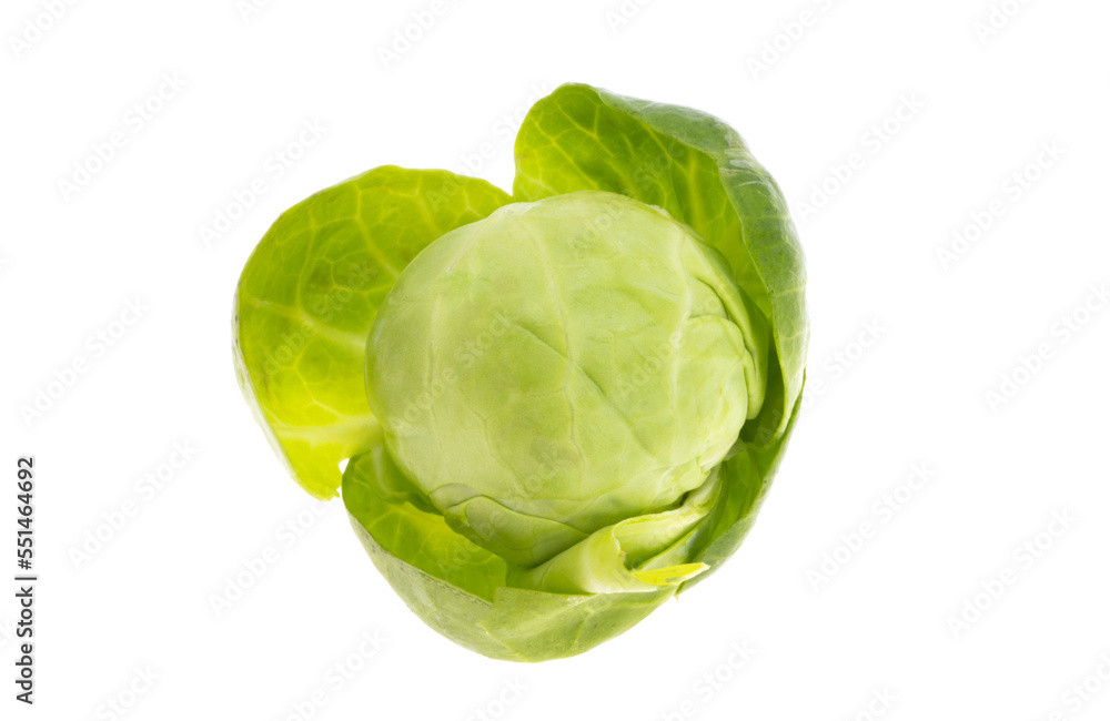 Brussels sprouts isolated Brussels sprouts isolated