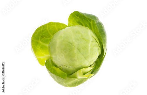 Brussels sprouts isolated