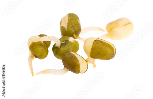 sprouted mung bean isolated