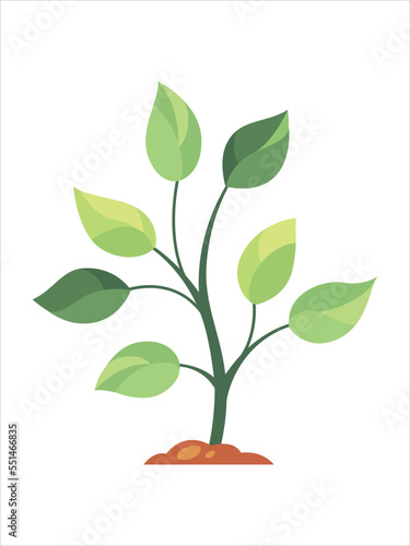 Vector illustration of a Tree. Cartoon Illustration for the theme of Nature, healthy lifestyle, career growth.
