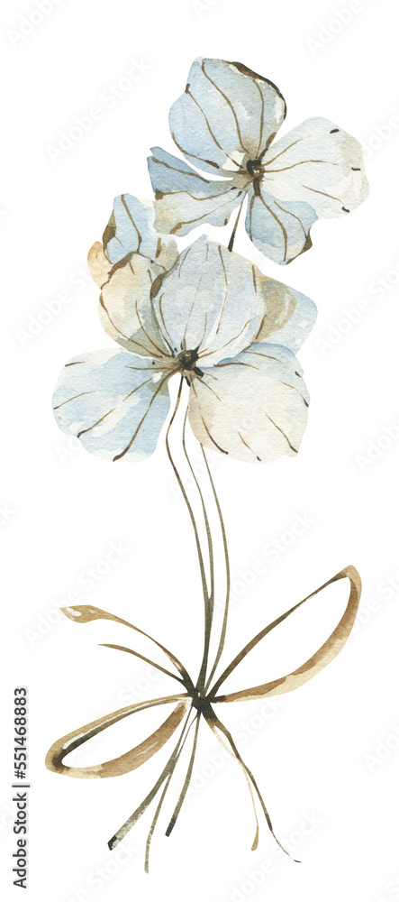 Obraz premium Watercolor hydrangea bouquet clipart.