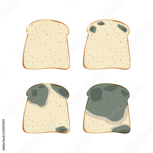 The mold on the toast bread, set isolated on white background.
