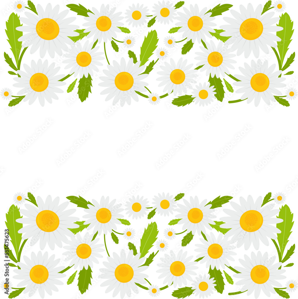 Obraz premium Daisy flowers banner background. Vector illustration