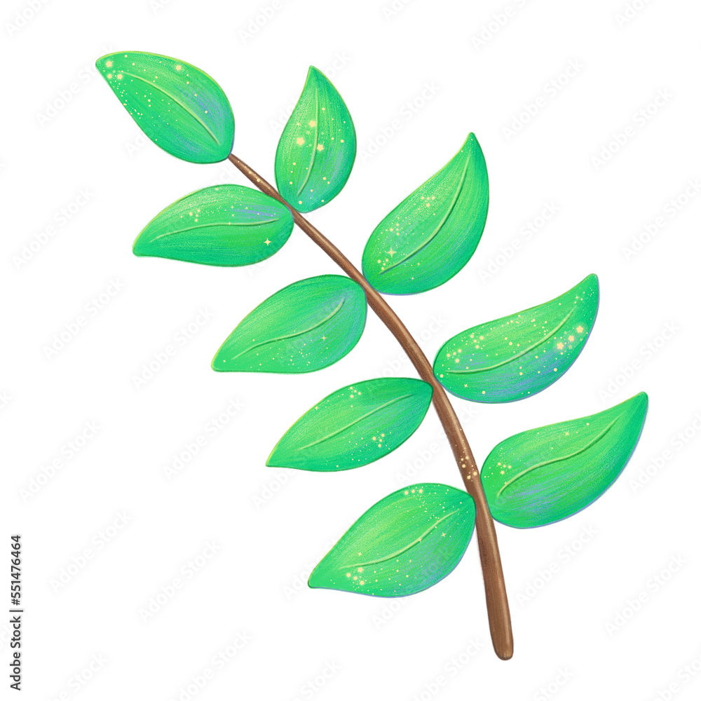 Green branch isolated on transparent background Green branch isolated on transparent background