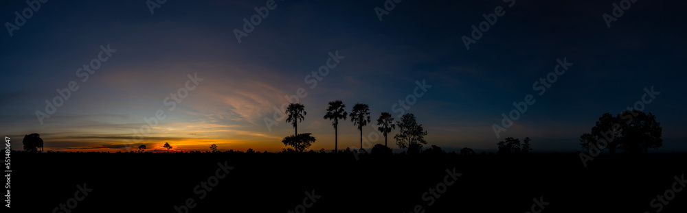 Panorama Row of coconut palms, trees silhouetted against the bold orange, yellow,blue colors of a tropical sunset in Hawaii,United states.Dark Trees on evening sky background.Low light background.