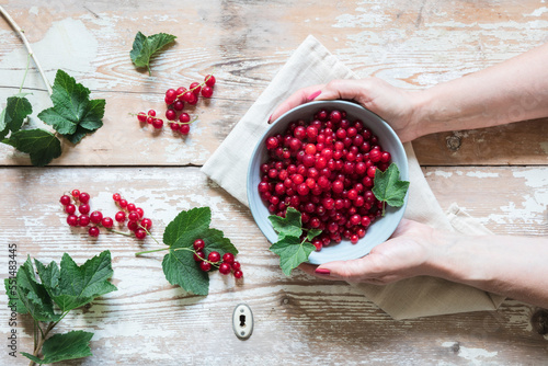 Hands of woman holding bowl of fresh red currants