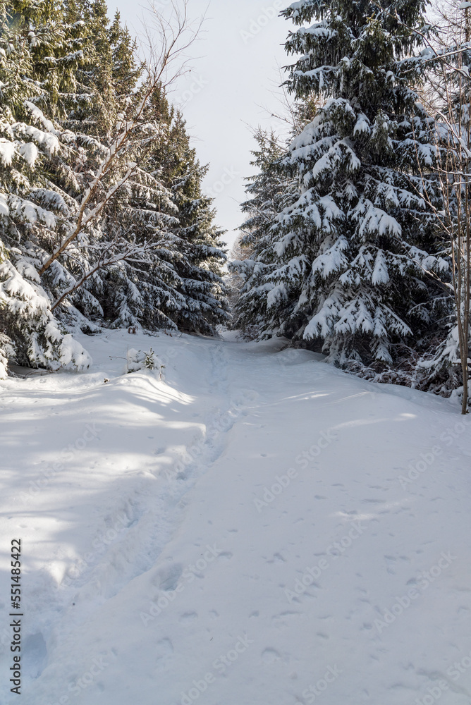 Snow covered hiking trail in frozen winter forest in Moravskoslezske Beskydy mountains Snow covered hiking trail in frozen winter forest in Moravskoslezske Beskydy mountains