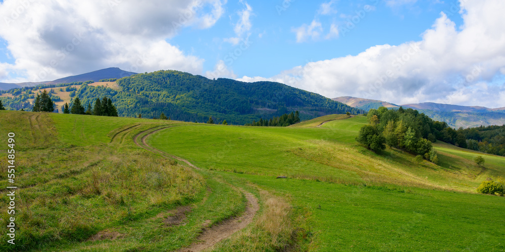 mountainous countryside scenery in early autumn. grassy rolling hills with some deciduous trees in dappled light. beautiful nature landscape with distant ridge beneath a sky heavy clouds