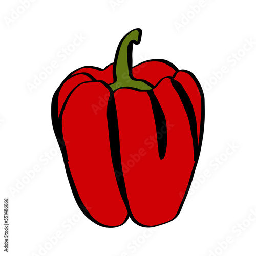 A simple doodle illustration of bright juicy sweet pepper. Sweet Bulgarian pepper.