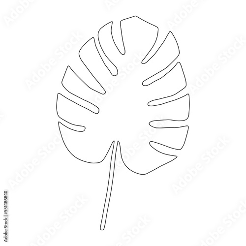 Exotic monstera. Continuous one-line drawing. Handmade summer tropical leaf on white background. Minimalist design. Maranta leaf.