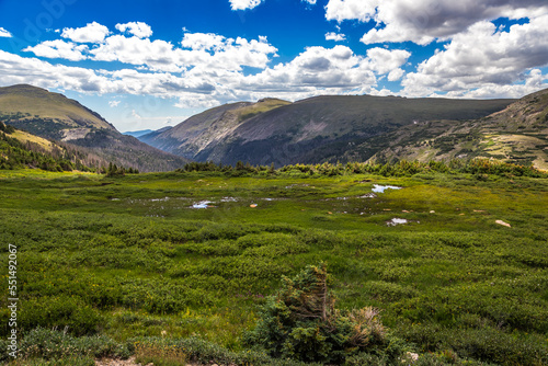 Brilliant Green Panoramic Views from the Old Fall River Road  Rocky Mountain National Park  Colorado