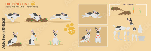 Cute black and white rabbit, bunny eating with accessories ready for animation vector, collection of multiple poses and positions. Bunny eating carrots