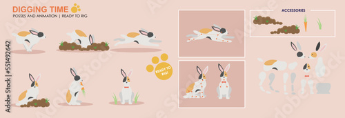 Cute black and white rabbit, bunny eating with accessories ready for animation vector, collection of multiple poses and positions. Bunny eating carrots and digging © Louise